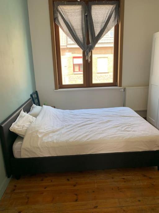 Burgerwoning Bij Bruggeヴィラ エクステリア 写真